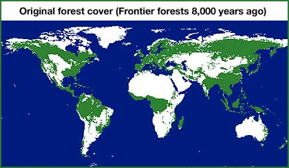 Map courtesy of Global Forest Watch